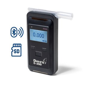 Динго E-200 (B) SD